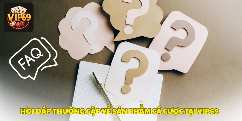 Hỏi đáp về các sản phẩm các cược của cổng giải trí 